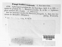 Image Associated With the Occurence